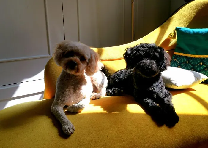 Maison De L'aguze 3* Saint-Pons-de-Thomieres